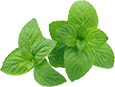 icon-peppermint-oil